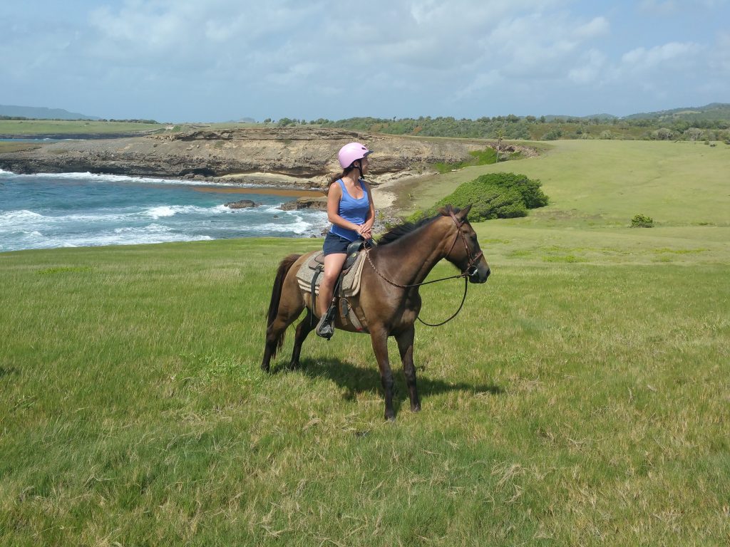 Atlantic Shores Riding Stables Grassy Fields Horseback Riding