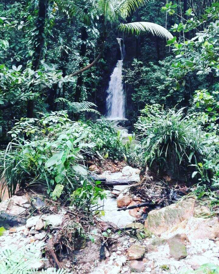 Sapphire Falls & Jungle Spa Waterfall