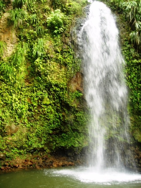 One of St. Lucia's many waterfall