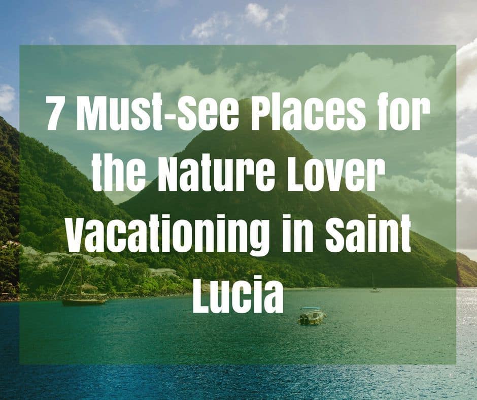 7 Must-See Places for the Nature Lover Vacationing in Saint Lucia
