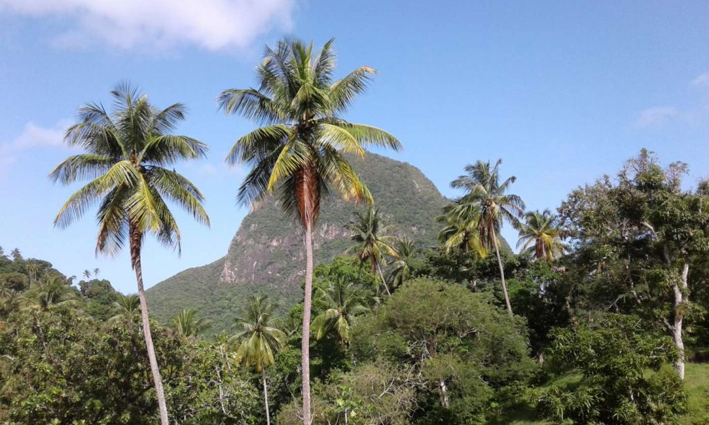 Bon Nouvel View of Piton St. Lucia