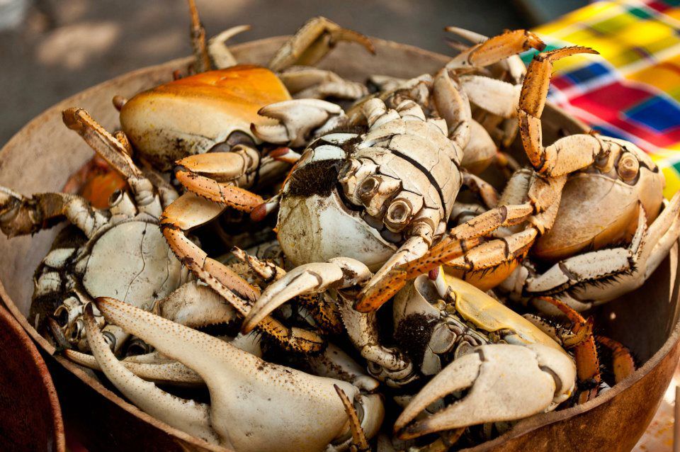 st. lucia jounen kweyol crabs