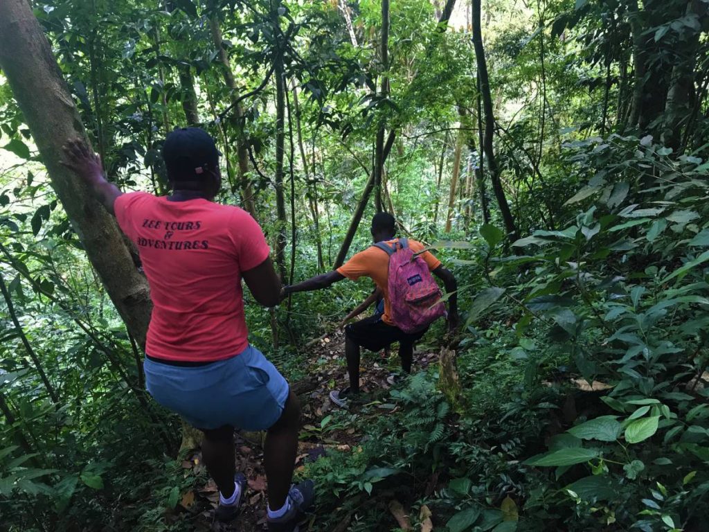 Hikers hiking to waterfall in St. Lucia