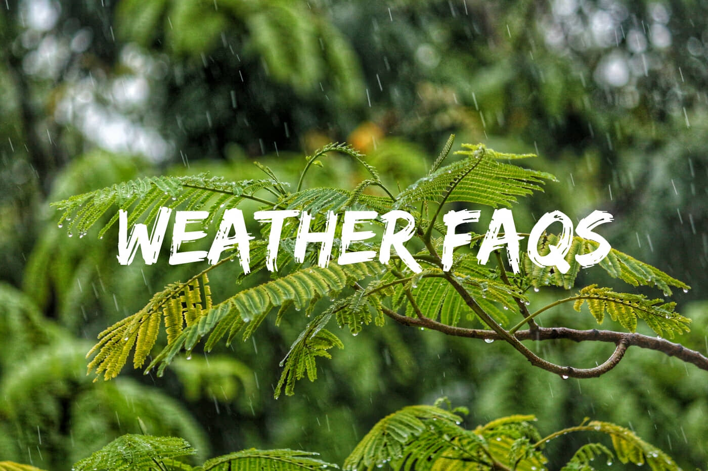 St. Lucia weather faqs featured image