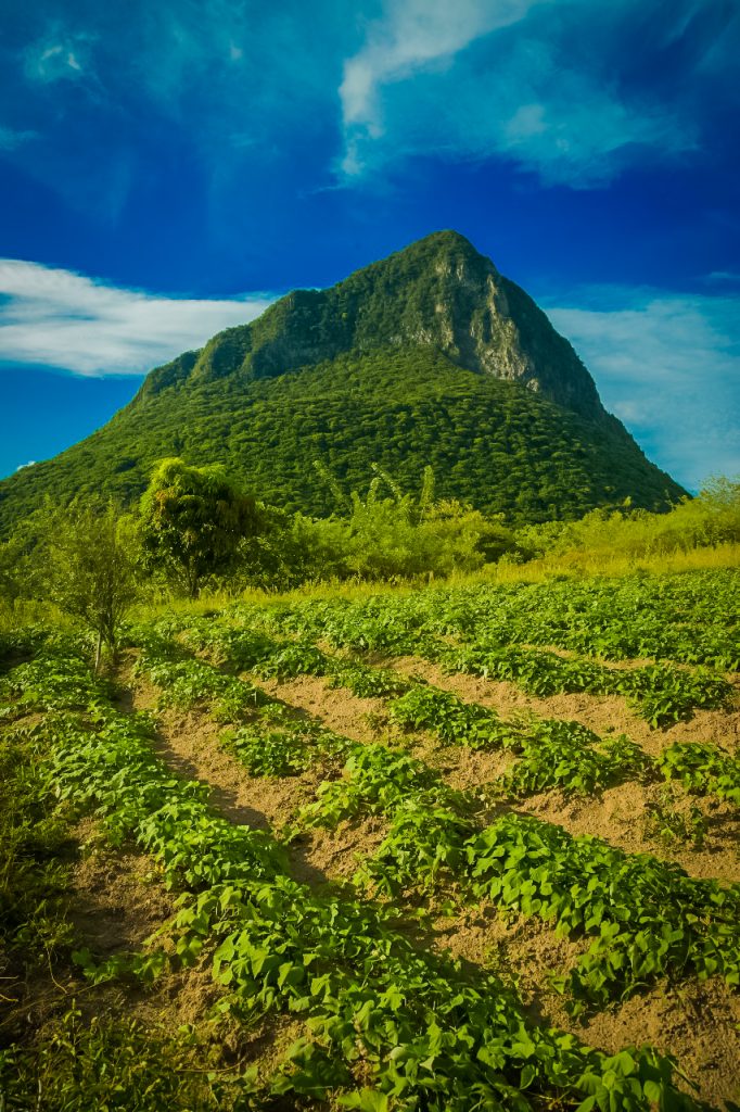 View of piton from farm