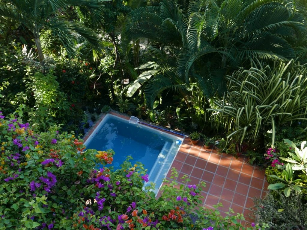 Tree House St. Lucia Mini Pool